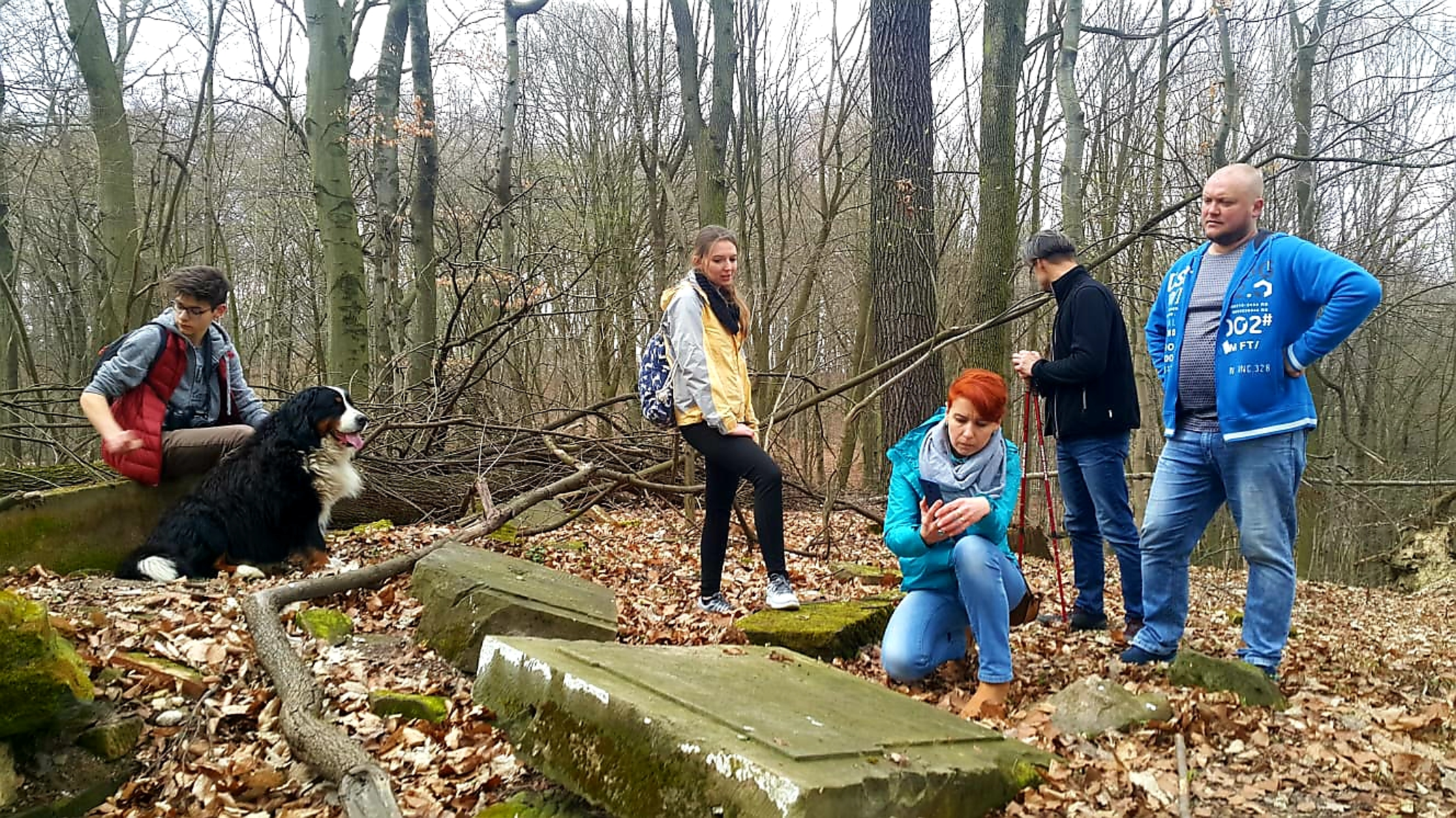 projekty Fundacja Dalków