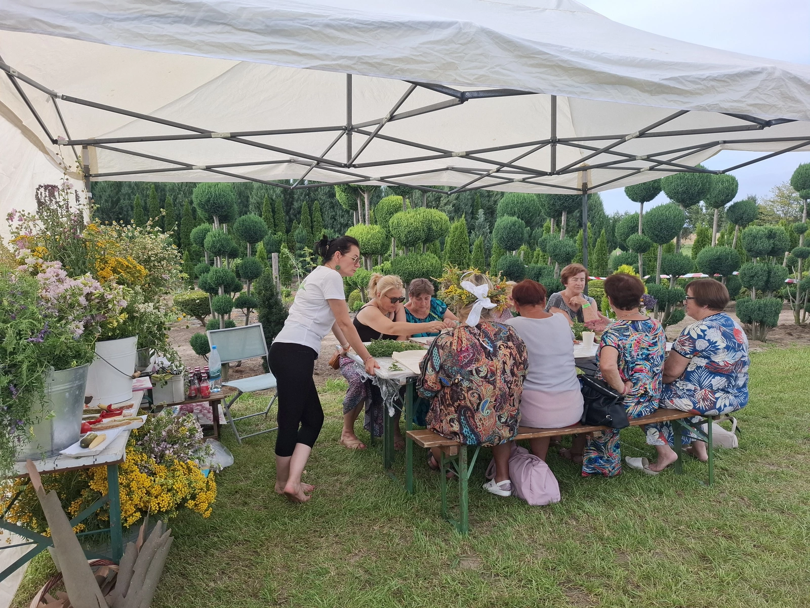 projekty Fundacja Dalków