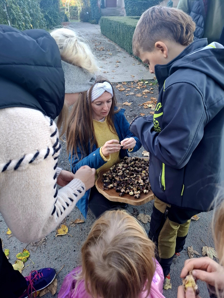 projekty Fundacja Dalków