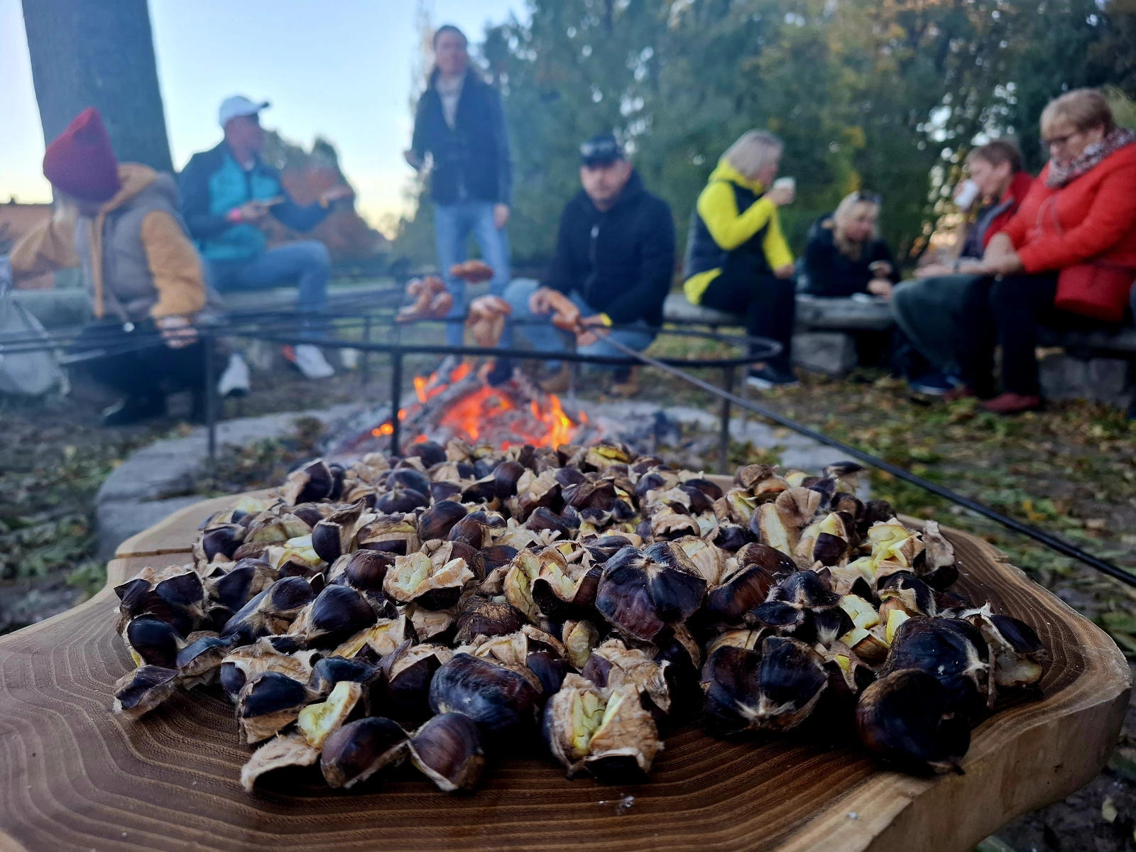 projekty Fundacja Dalków