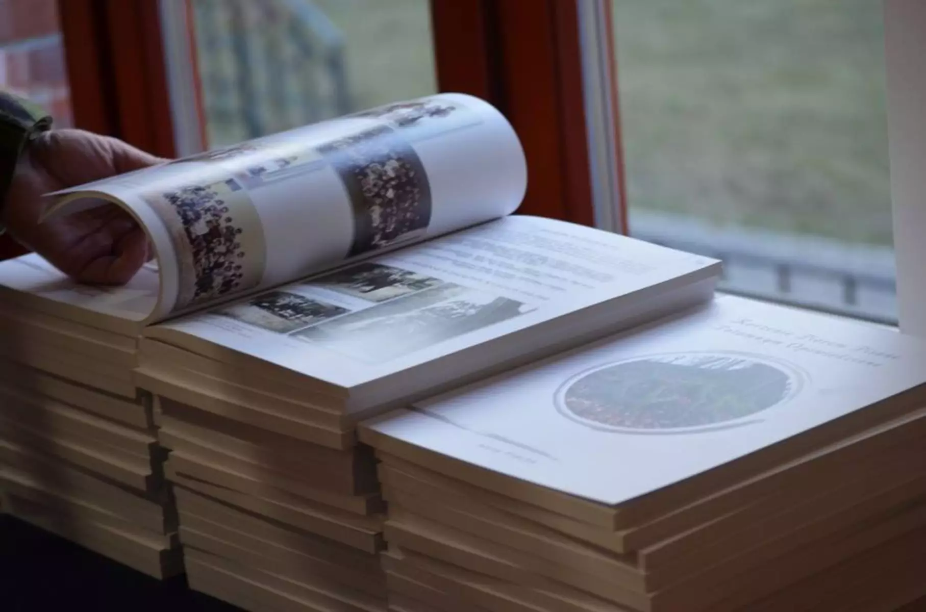 projekty Fundacja Dalków