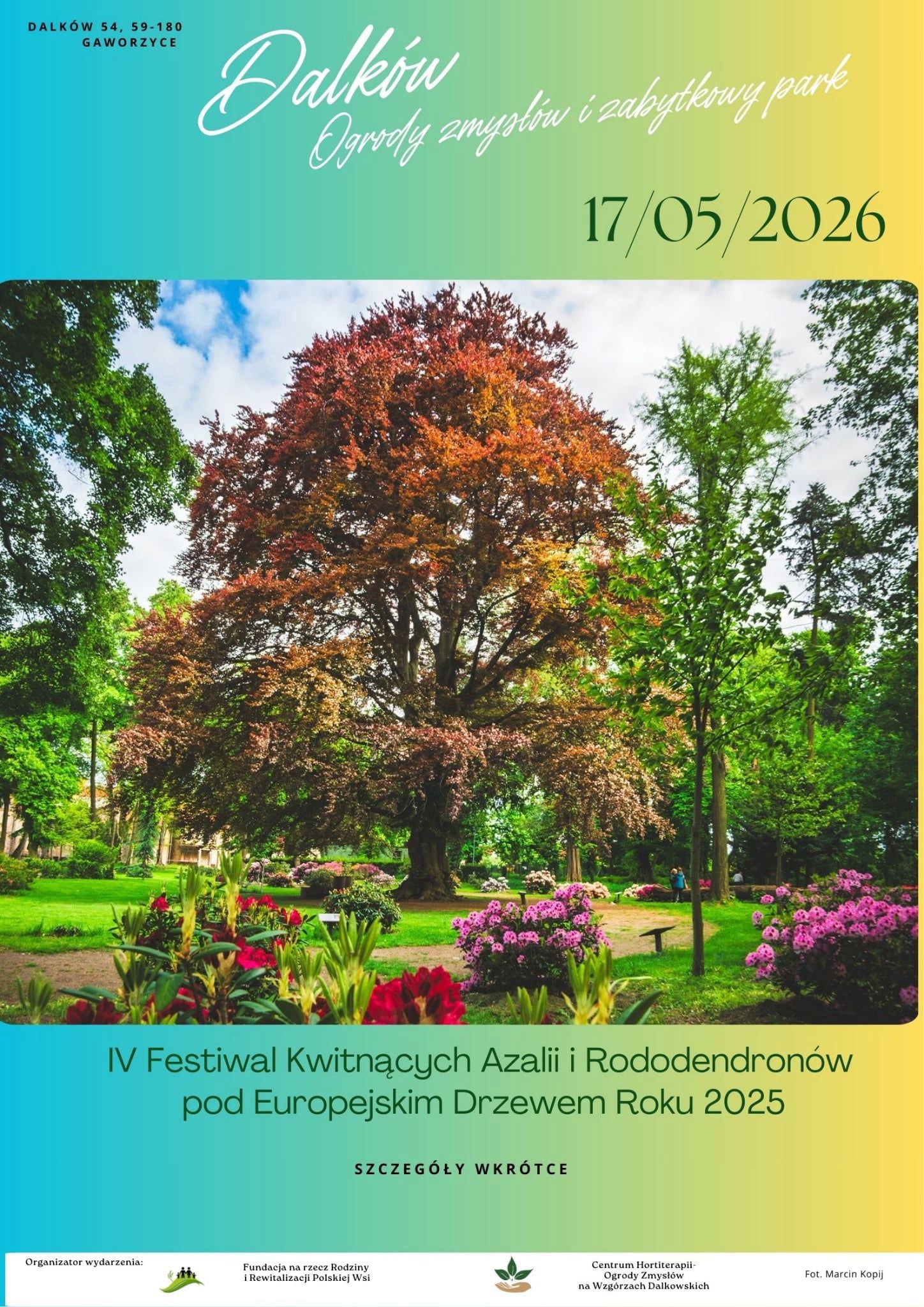 plakat o Festiwalu Azalii w Dalkowie