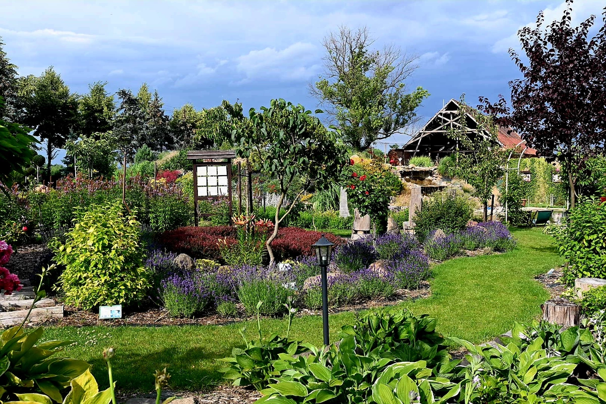 Wygląd Centrum Hortiterapii w czerwcu