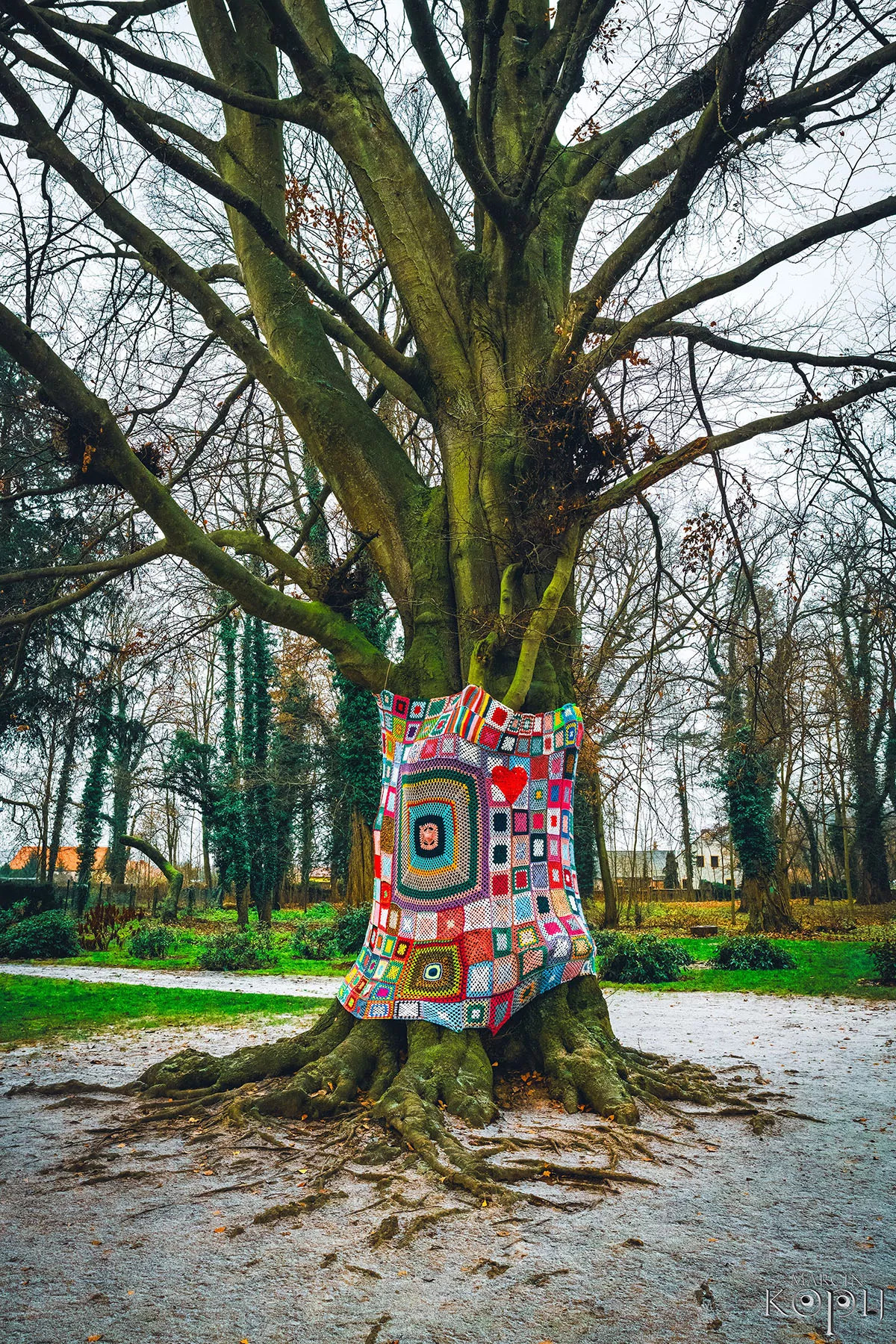 Park w Dalkowie z Europejskim Drzewem Roku 2025 - Serce Wzgórz Dalkowskich  