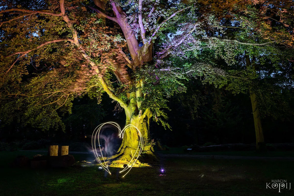 Park w Dalkowie z Europejskim Drzewem Roku 2025 - Serce Wzgórz Dalkowskich  