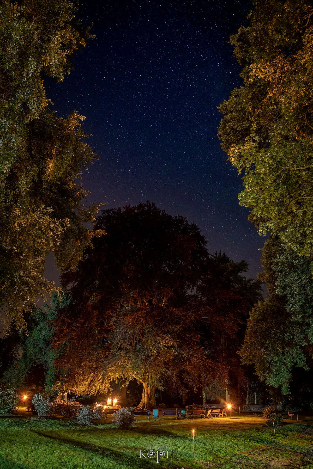 Park w Dalkowie z Europejskim Drzewem Roku 2025 - Serce Wzgórz Dalkowskich  