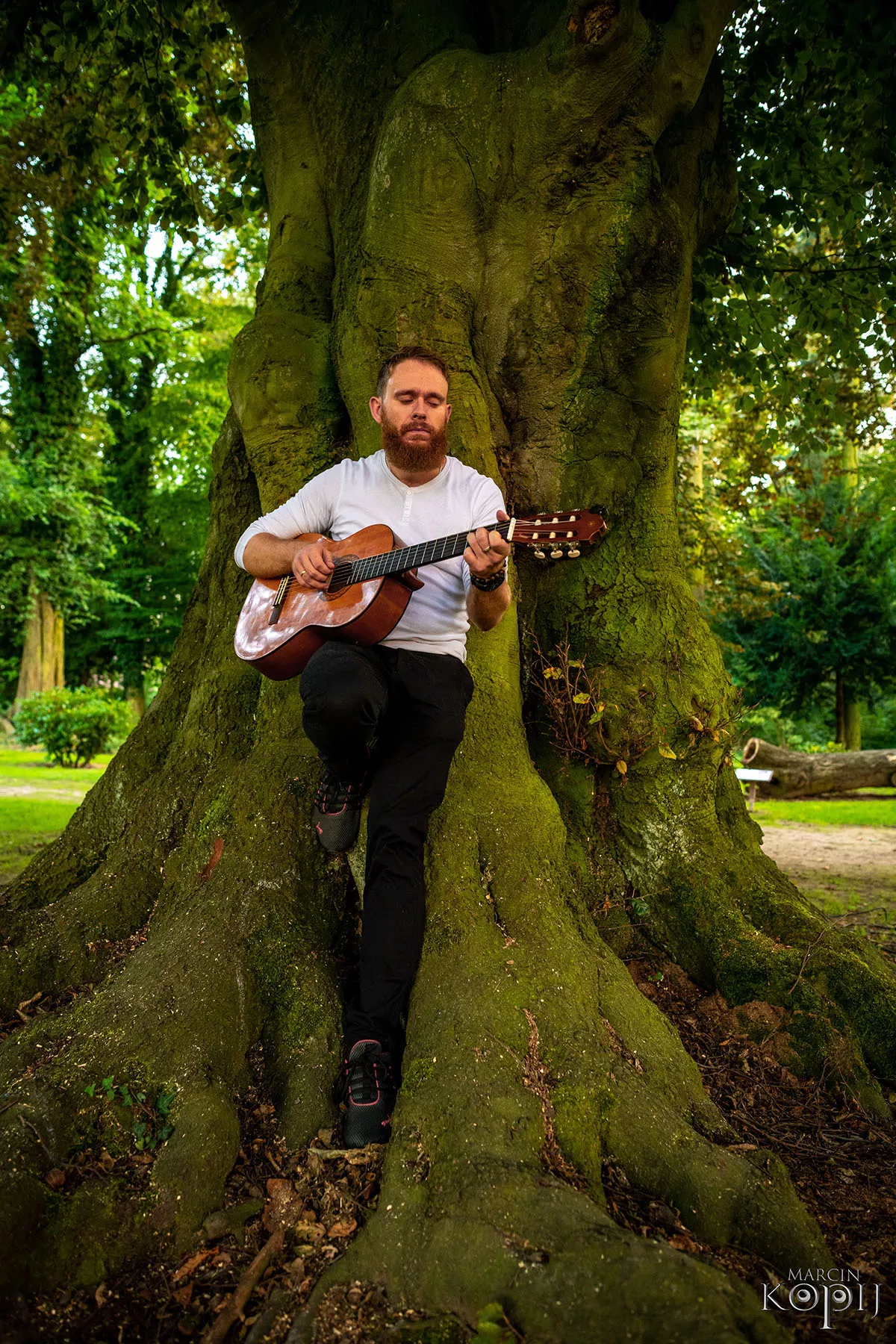 Park w Dalkowie z Europejskim Drzewem Roku 2025 - Serce Wzgórz Dalkowskich  