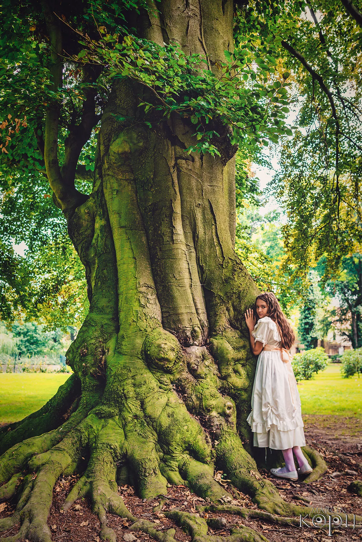 Park w Dalkowie z Europejskim Drzewem Roku 2025 - Serce Wzgórz Dalkowskich  