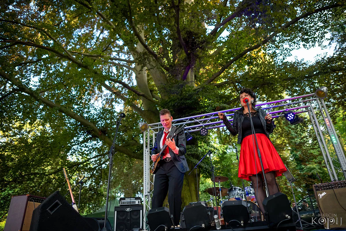 Park w Dalkowie z Europejskim Drzewem Roku 2025 - Serce Wzgórz Dalkowskich  