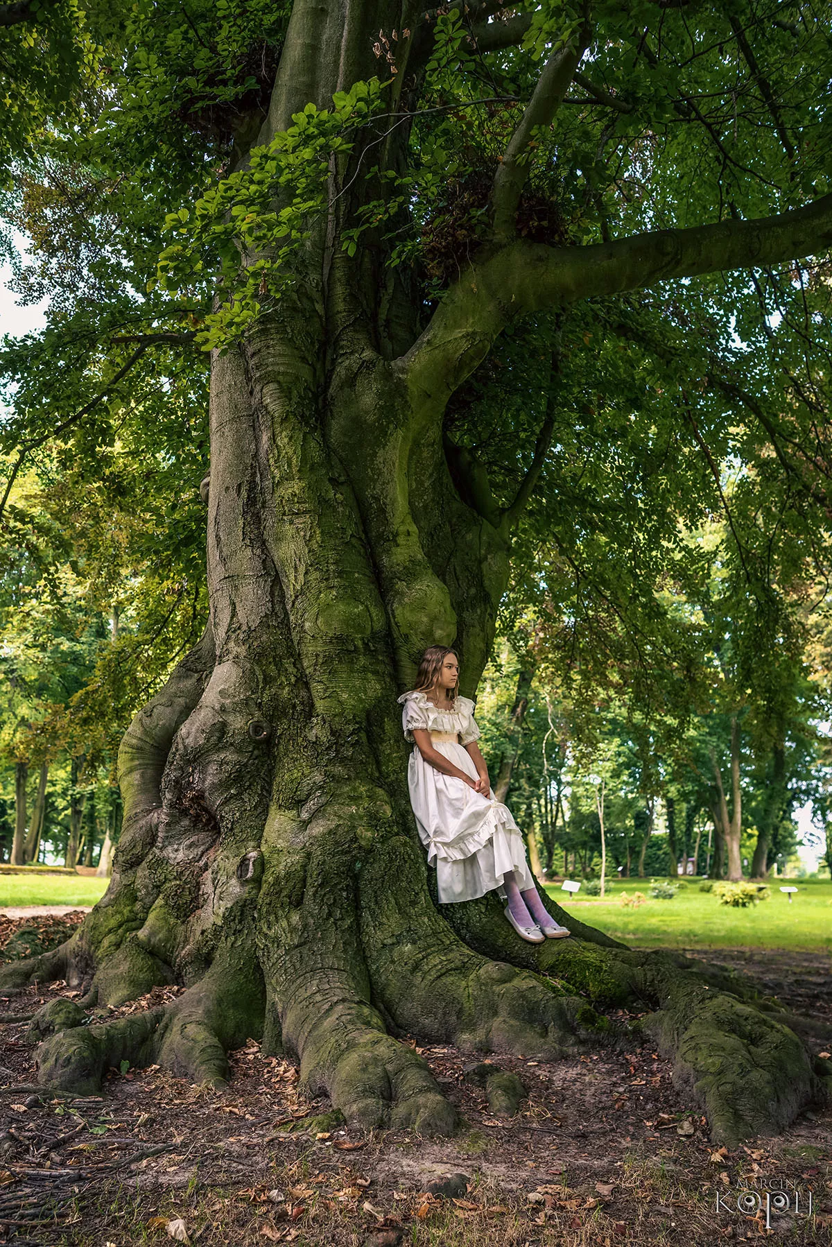 Park w Dalkowie z Europejskim Drzewem Roku 2025 - Serce Wzgórz Dalkowskich  