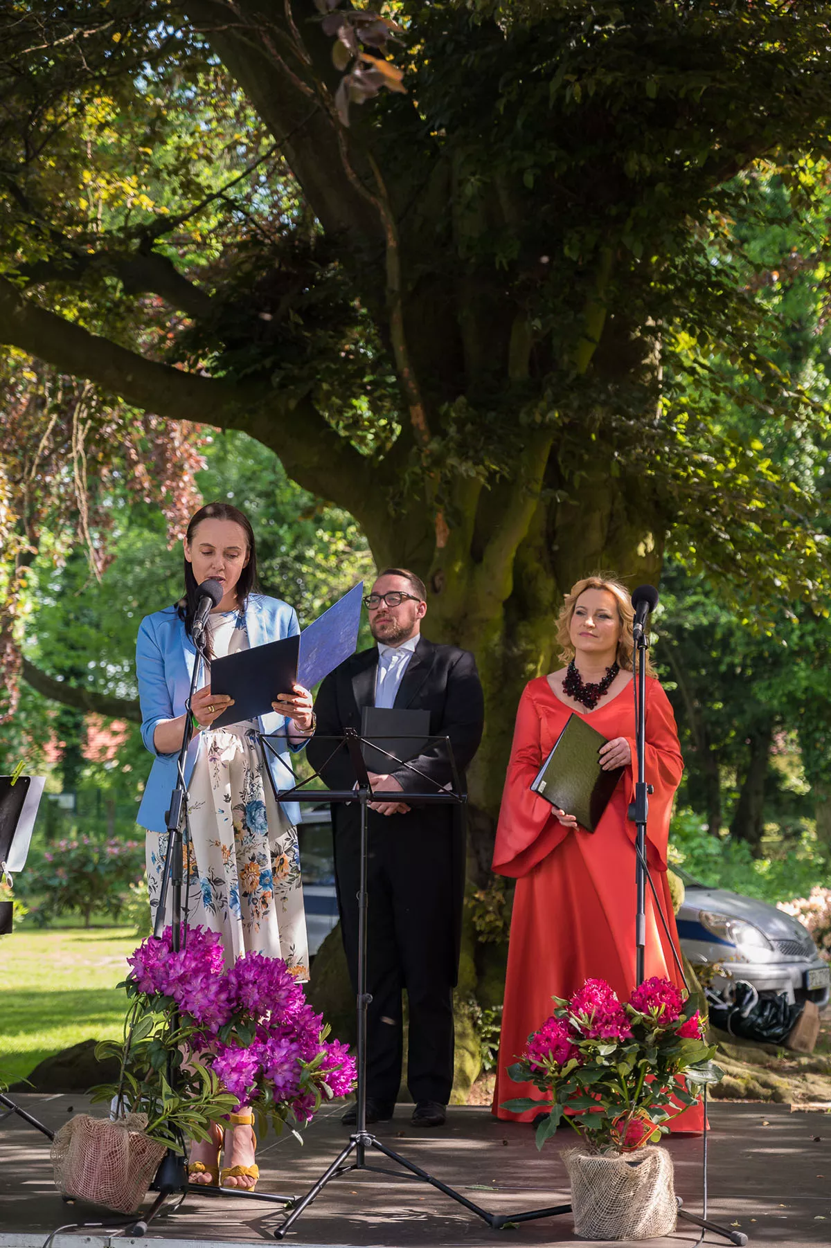 Park w Dalkowie z Europejskim Drzewem Roku 2025 - Serce Wzgórz Dalkowskich  