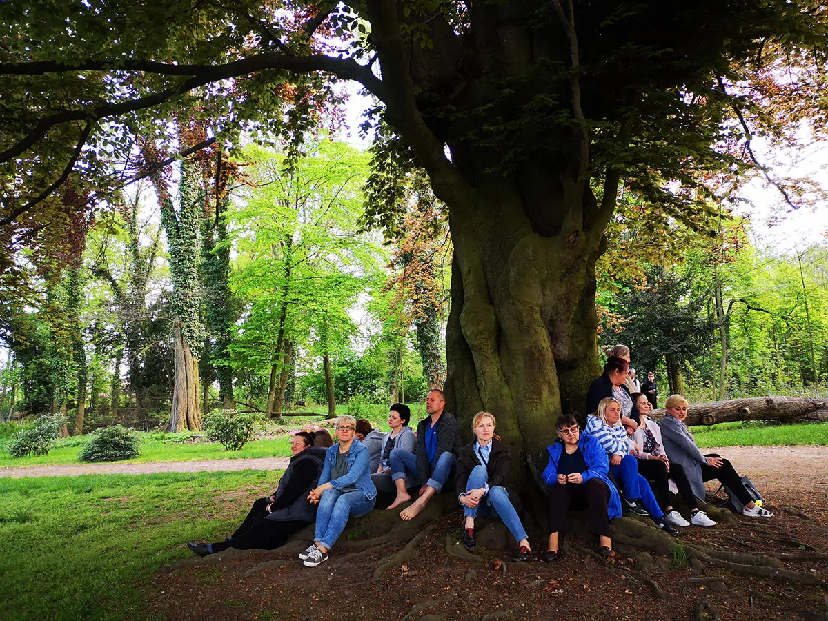 Park w Dalkowie z Europejskim Drzewem Roku 2025 - Serce Wzgórz Dalkowskich  