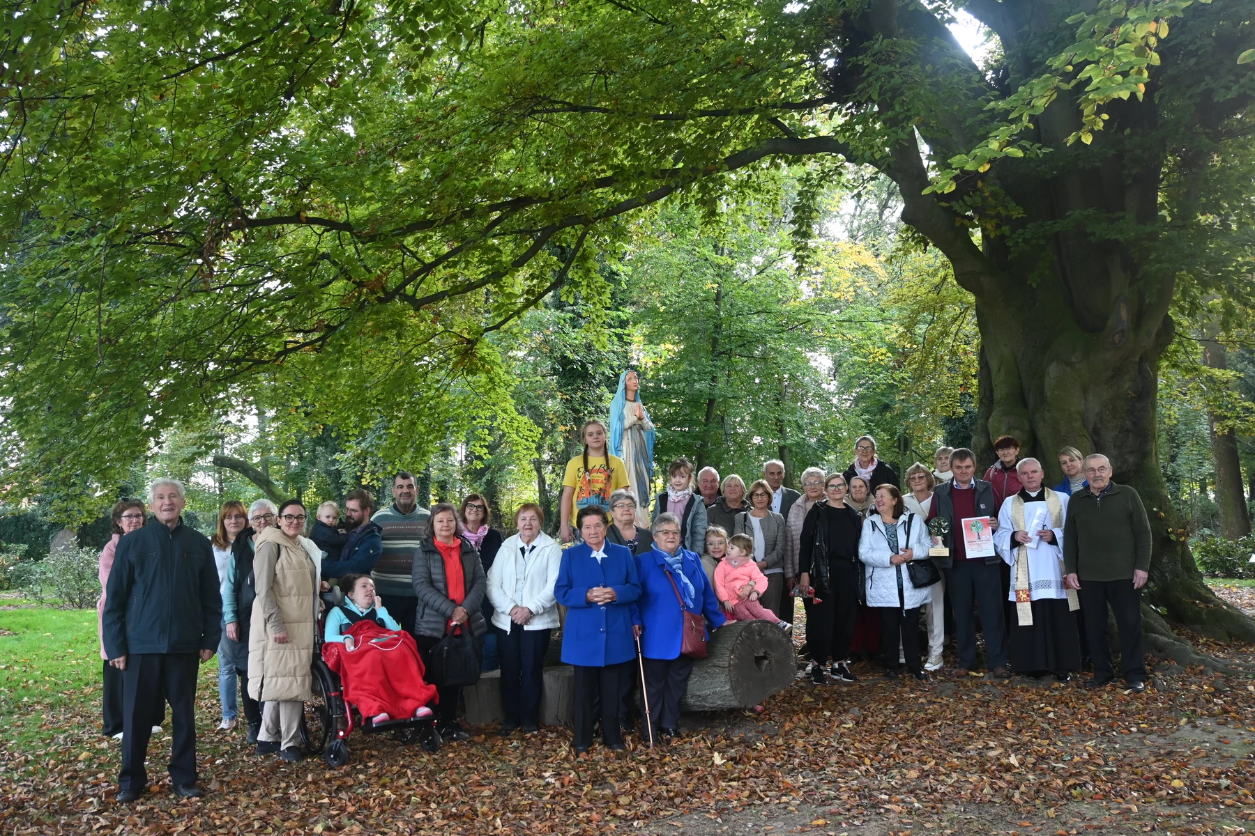 projekty Fundacja Dalków