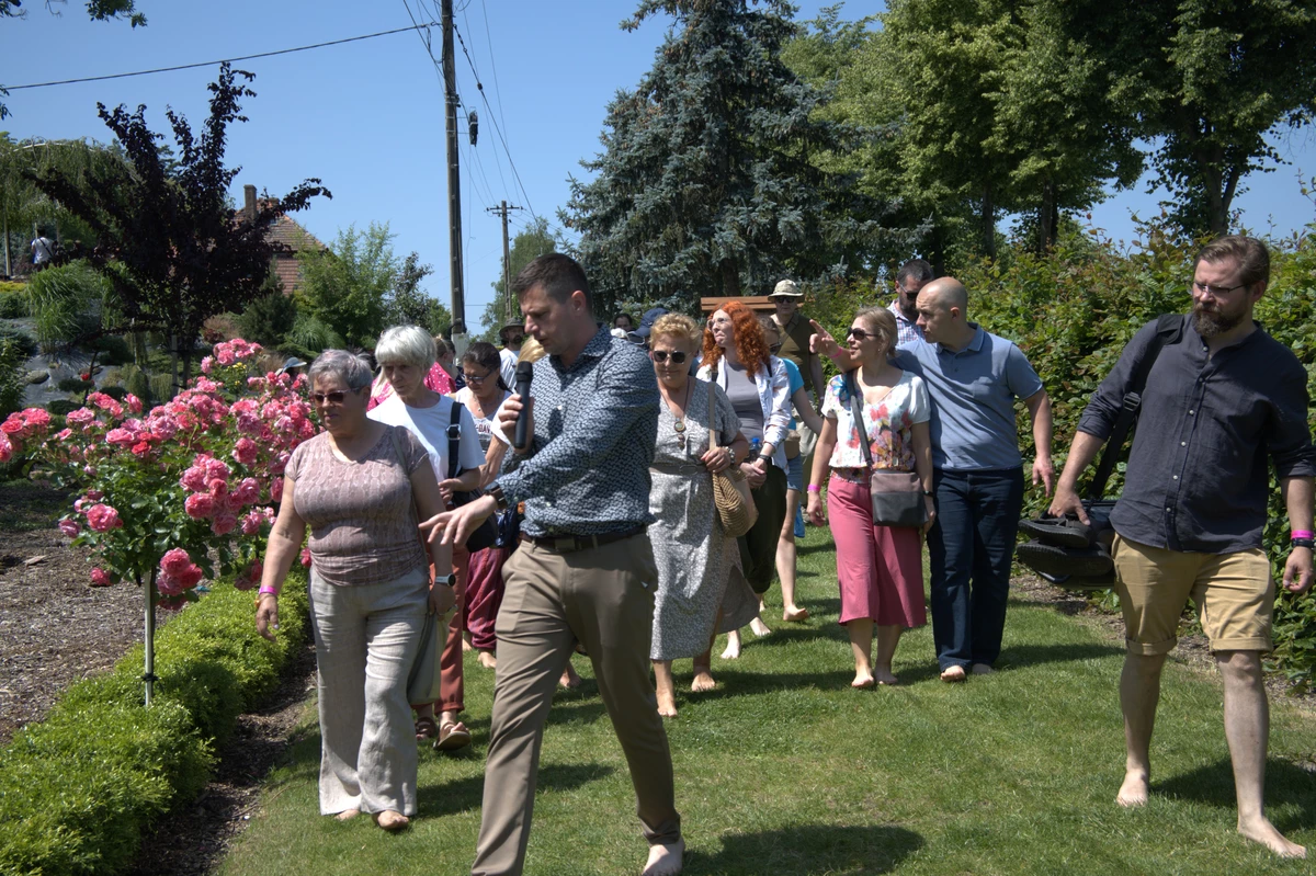 projekty Fundacja Dalków