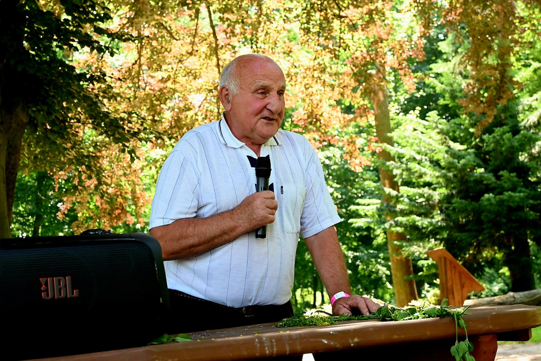 projekty Fundacja Dalków