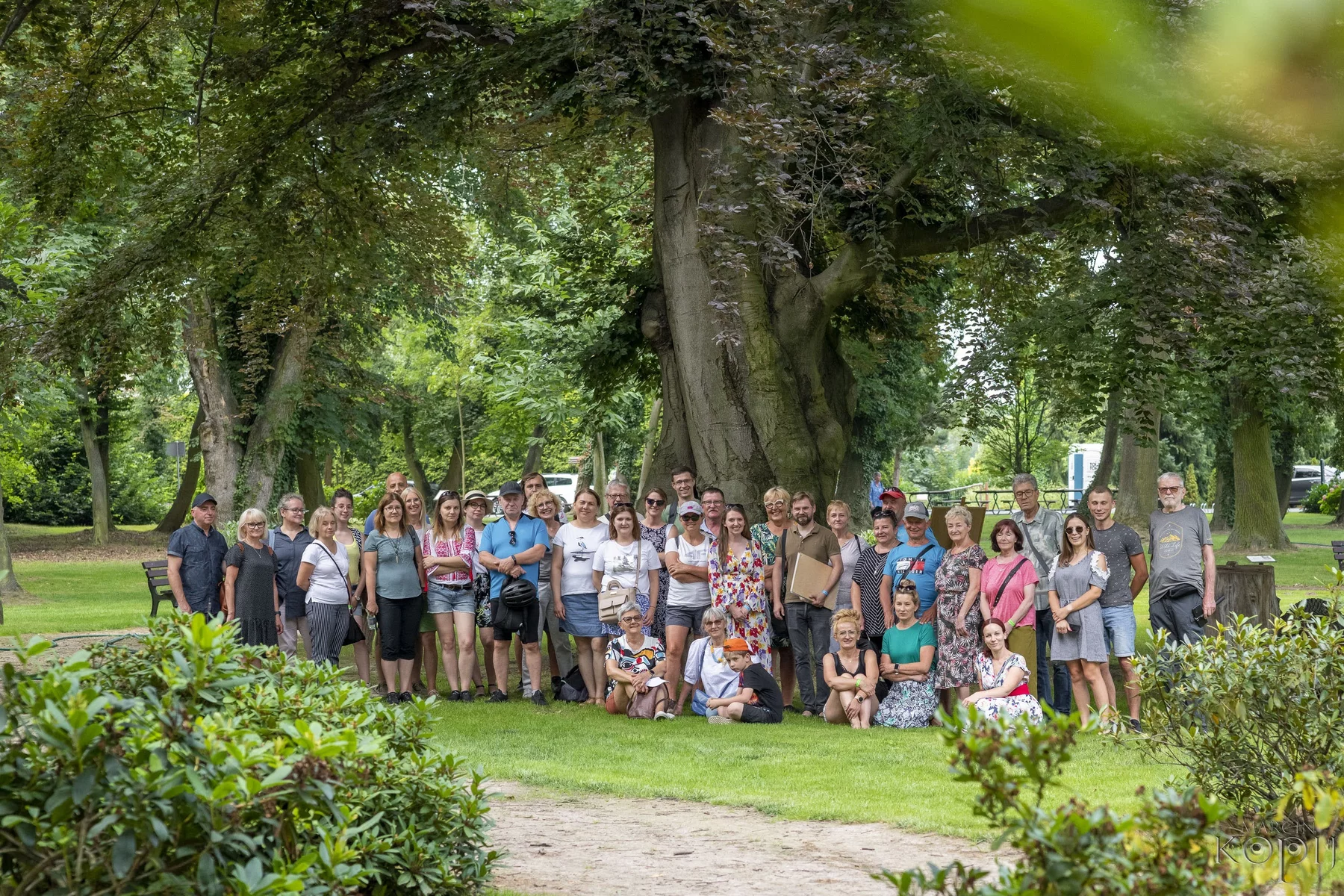 projekty Fundacja Dalków