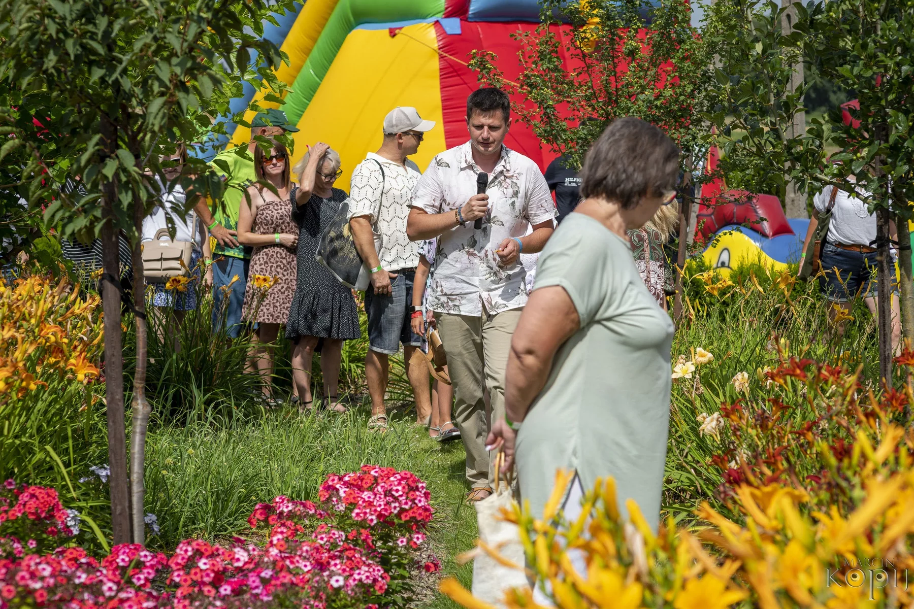 projekty Fundacja Dalków