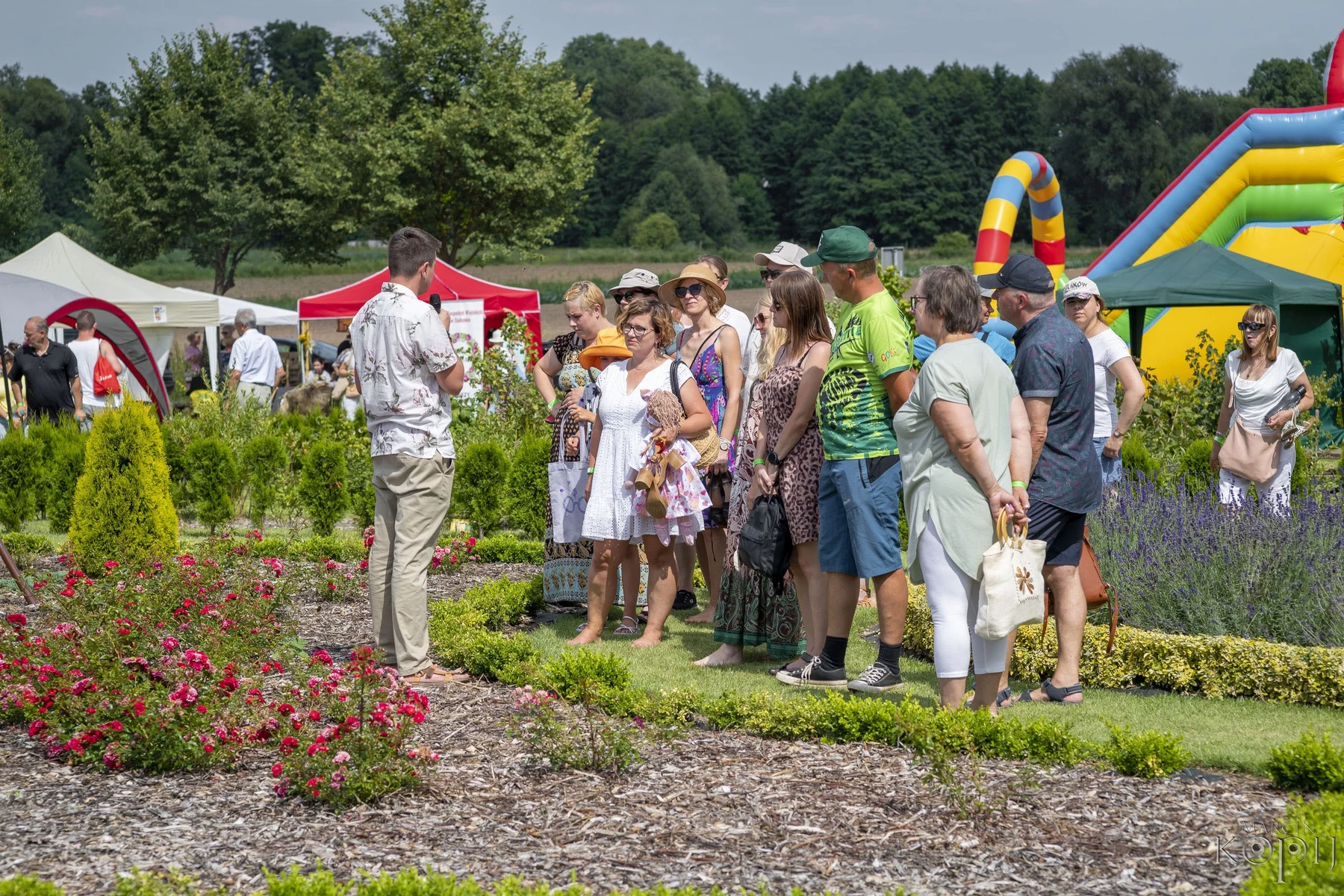 projekty Fundacja Dalków