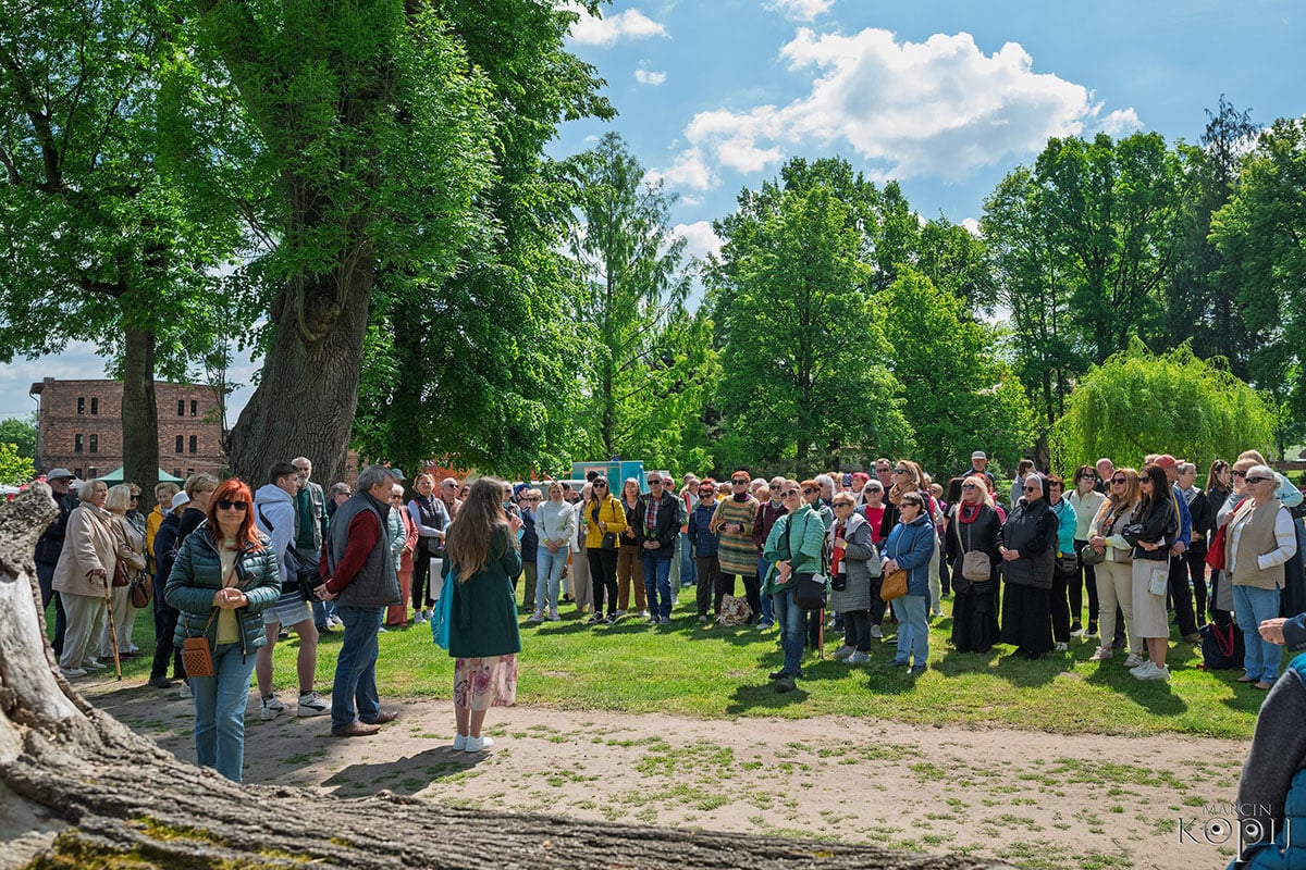 2025 III Festiwal Kwitnących Azalii i Rododendronów pod Europejskim Drzewem Roku 2025