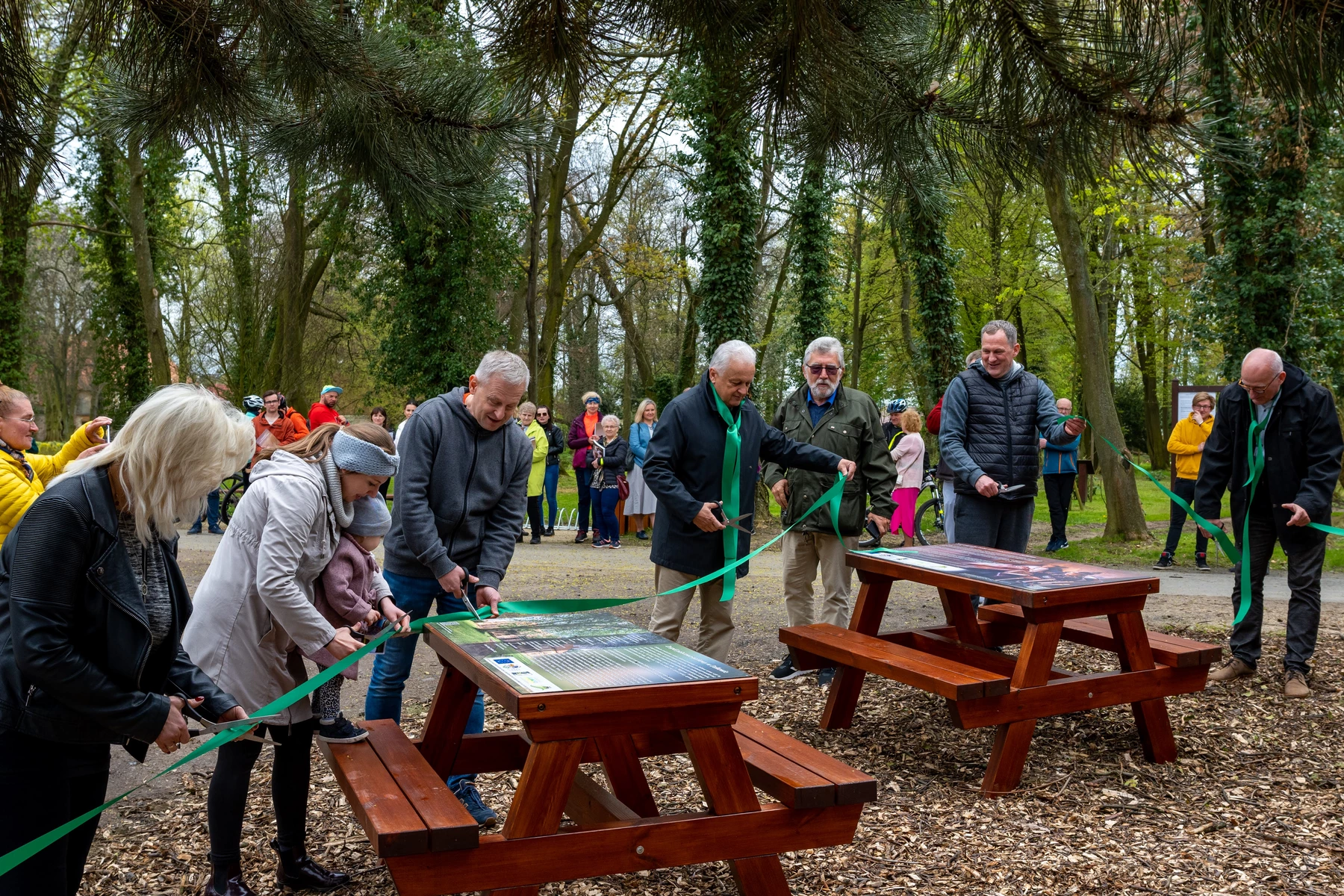 projekty Fundacja Dalków