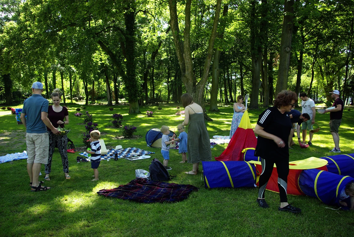 projekty Fundacja Dalków