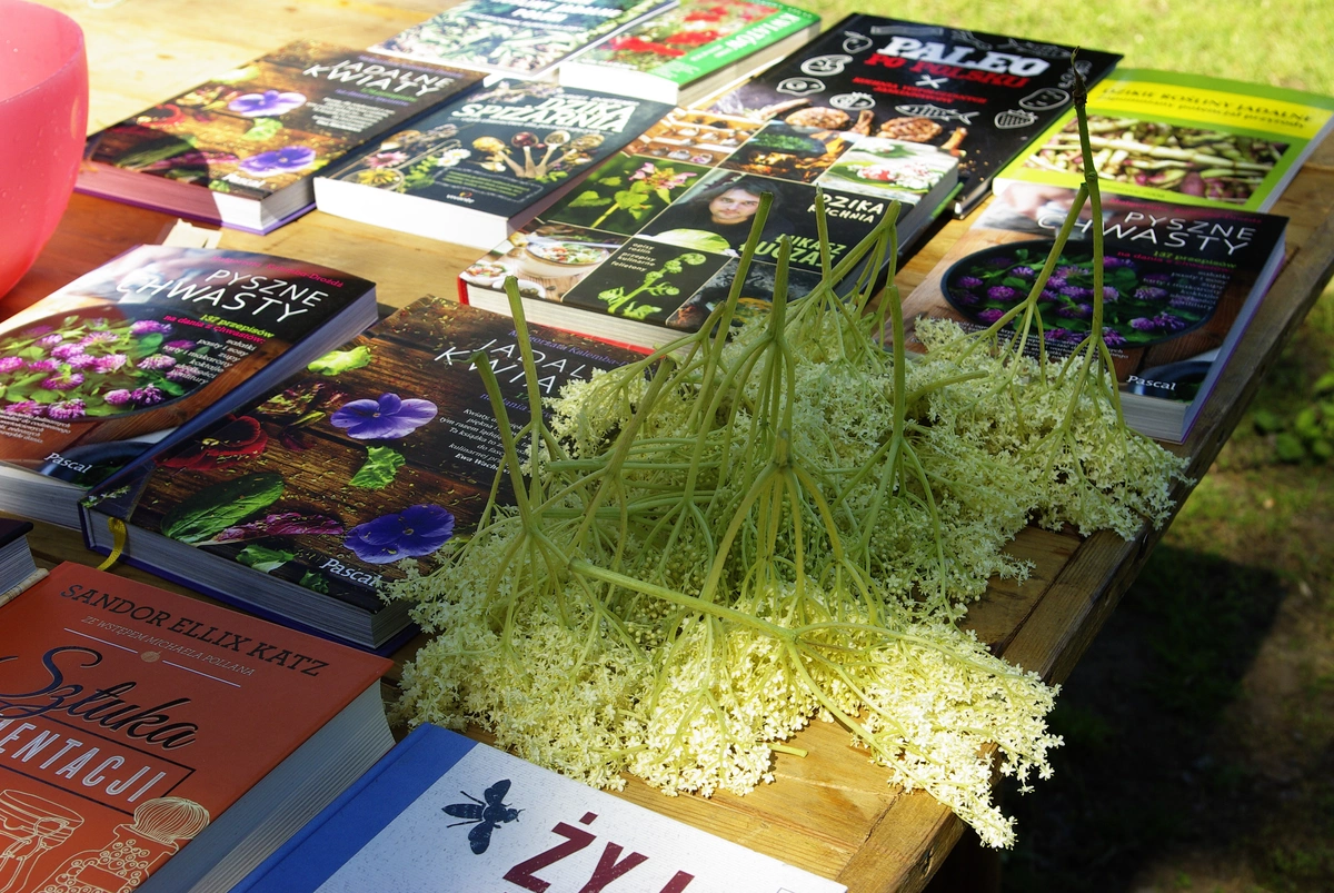 projekty Fundacja Dalków