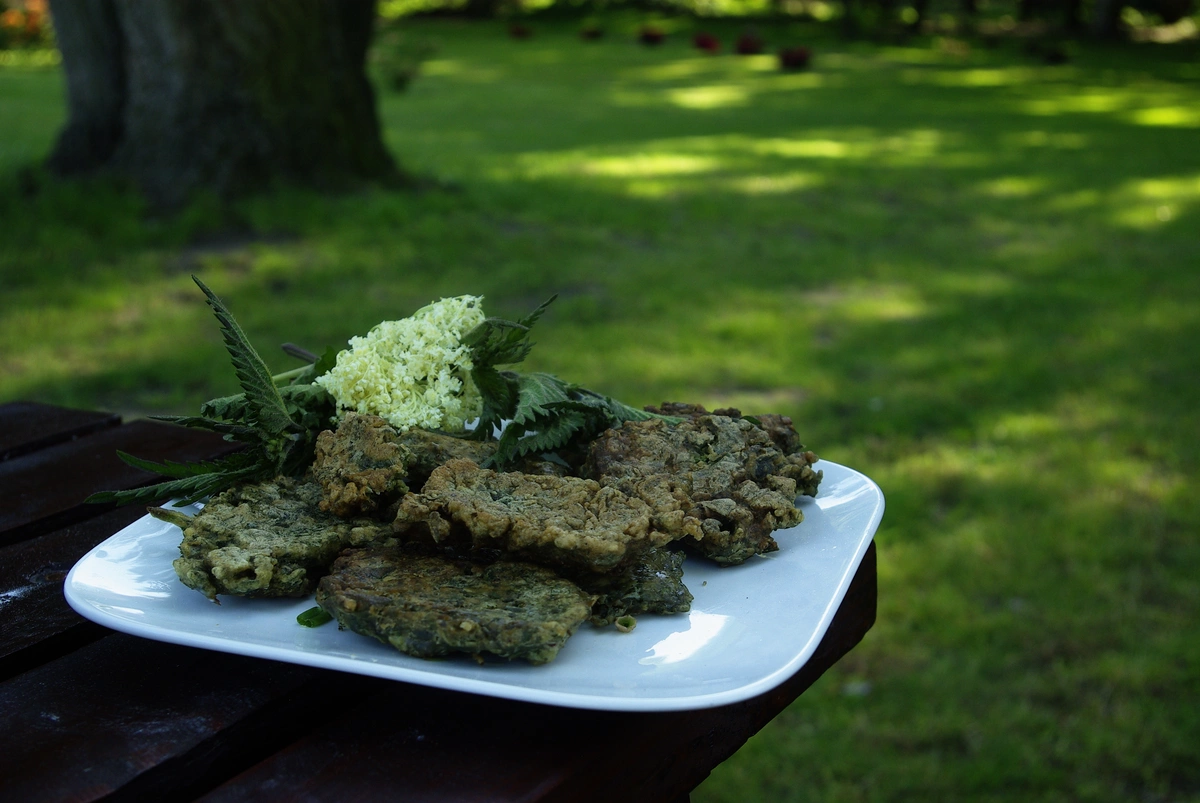 projekty Fundacja Dalków