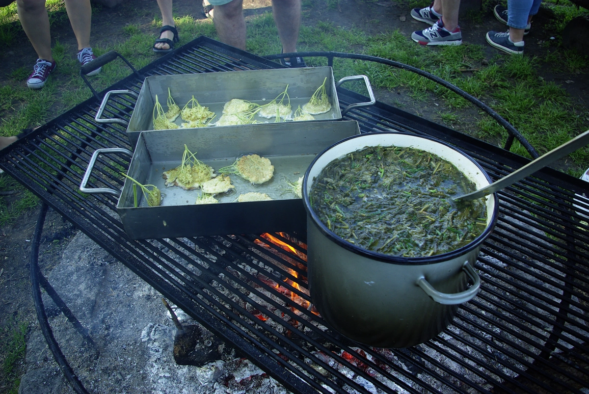 projekty Fundacja Dalków