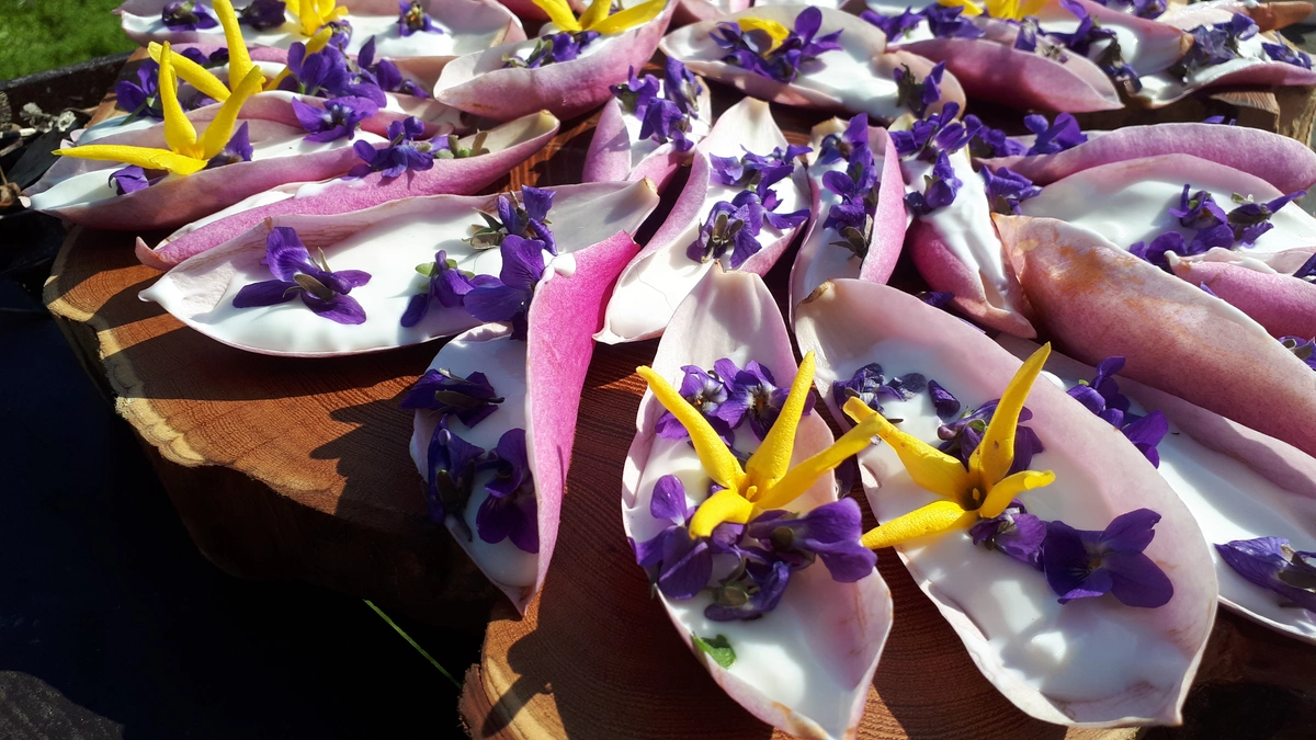 projekty Fundacja Dalków