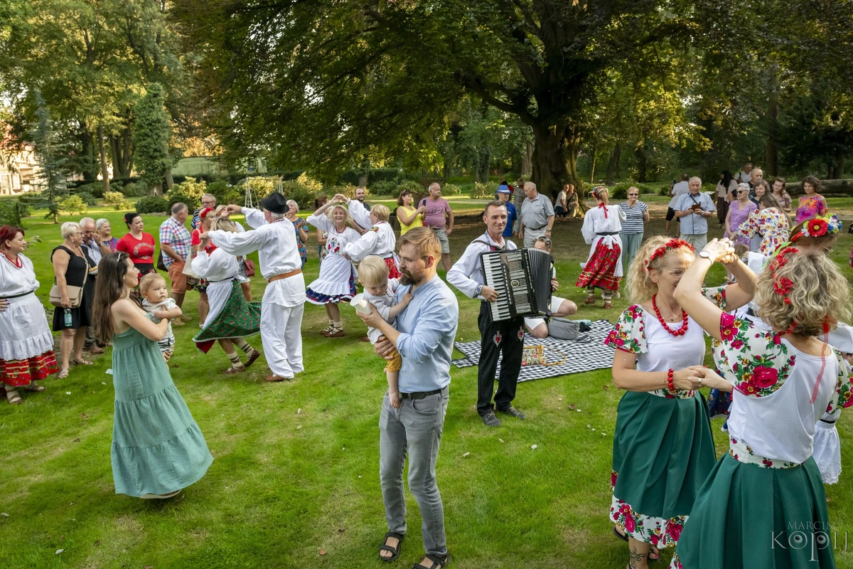 projekty Fundacja Dalków