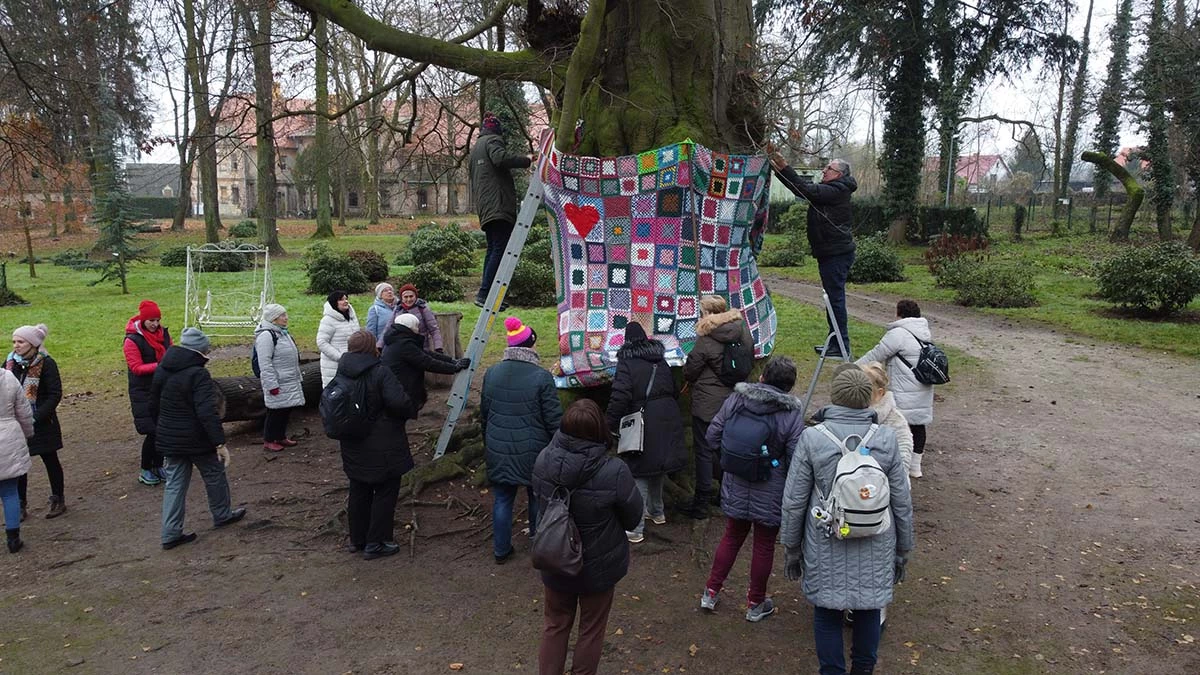 Park w Dalkowie z Europejskim Drzewem Roku 2025 - Serce Wzgórz Dalkowskich  