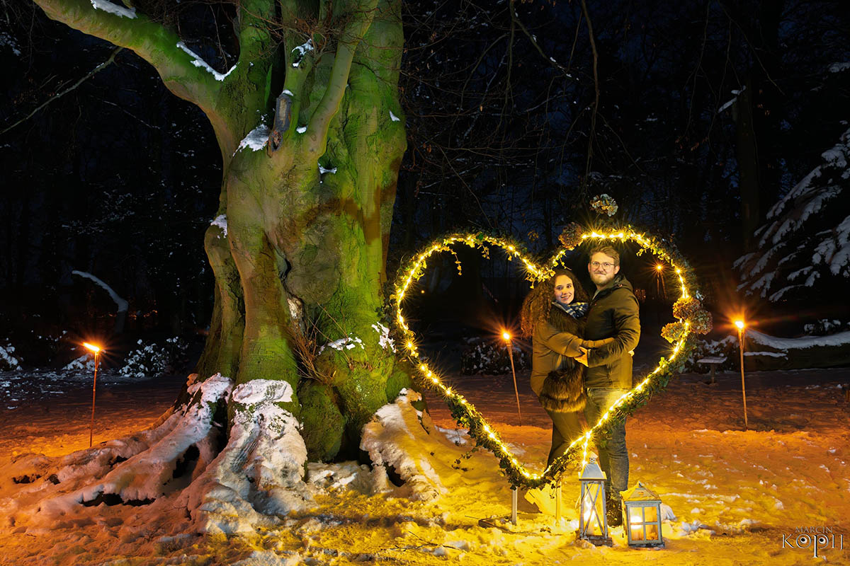 Park w Dalkowie z Europejskim Drzewem Roku 2025 - Serce Wzgórz Dalkowskich  