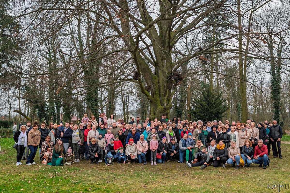 Park w Dalkowie z Europejskim Drzewem Roku 2025 - Serce Wzgórz Dalkowskich  