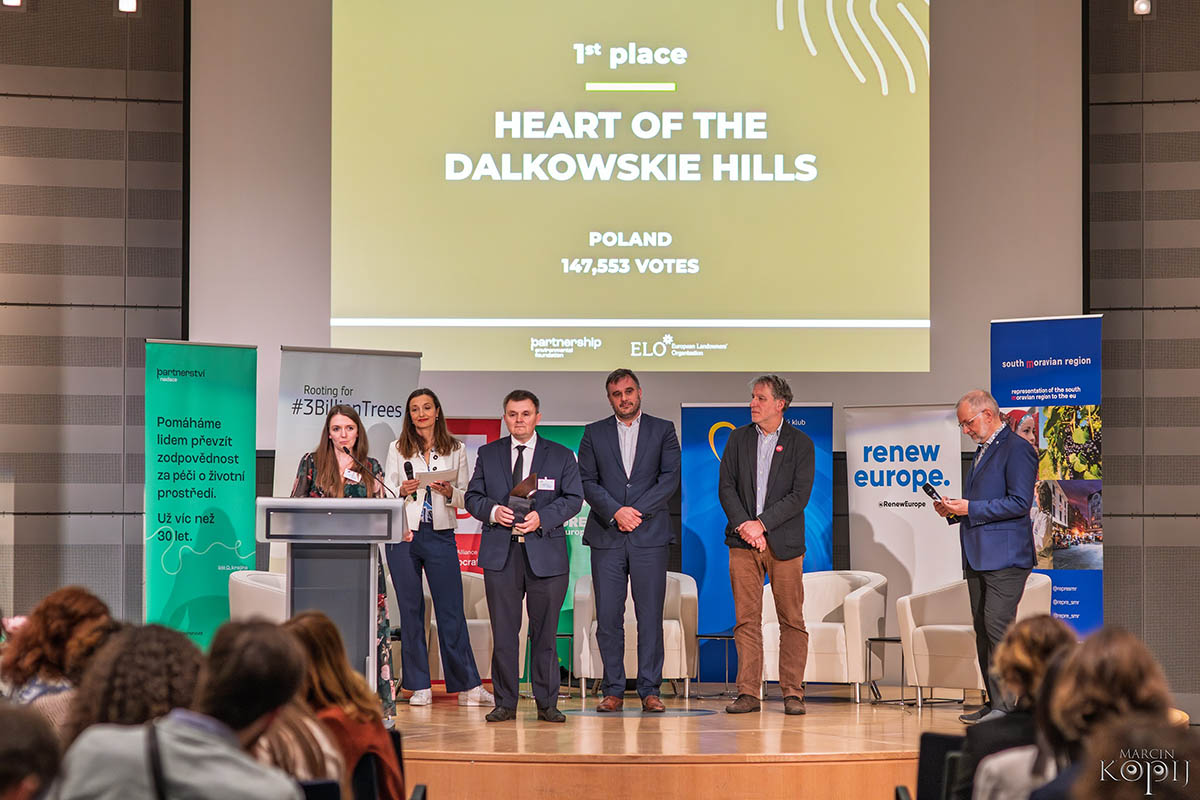 Park w Dalkowie z Europejskim Drzewem Roku 2025 - Serce Wzgórz Dalkowskich  