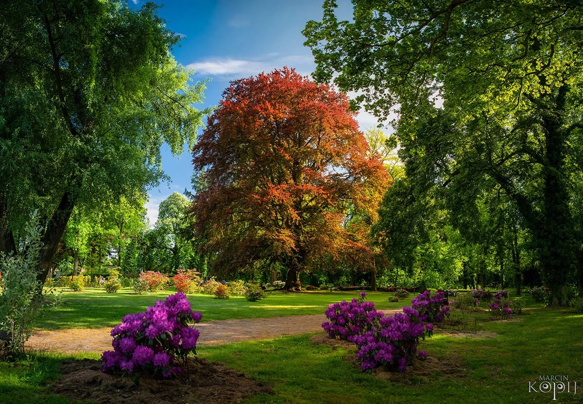 Widoki z parku w Dalkowie.