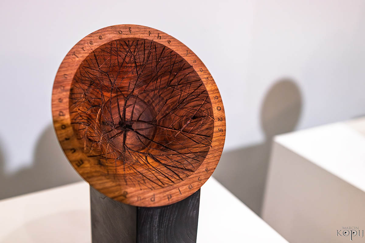 Park w Dalkowie z Europejskim Drzewem Roku 2025 - Serce Wzgórz Dalkowskich  