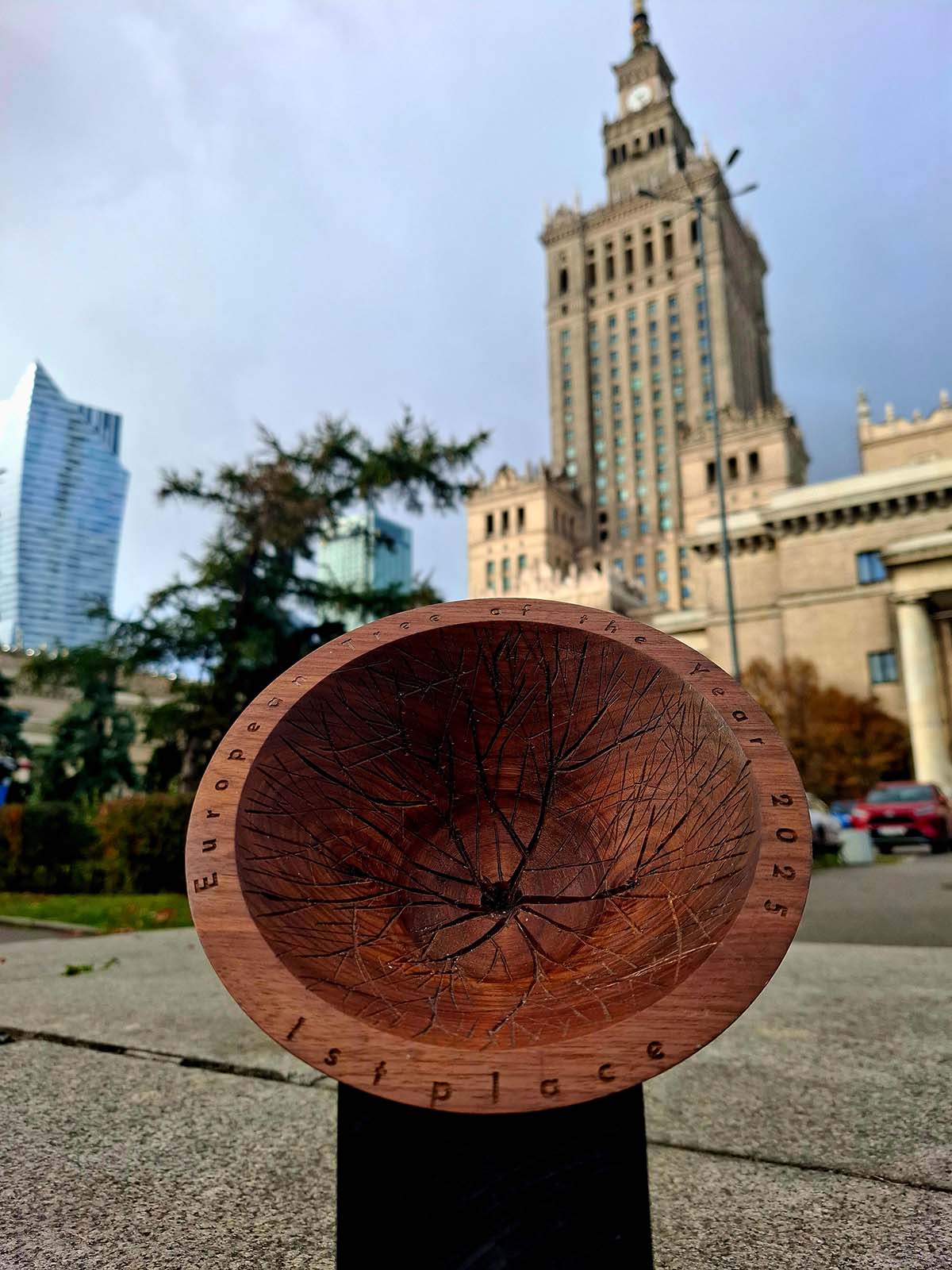 Park w Dalkowie z Europejskim Drzewem Roku 2025 - Serce Wzgórz Dalkowskich  