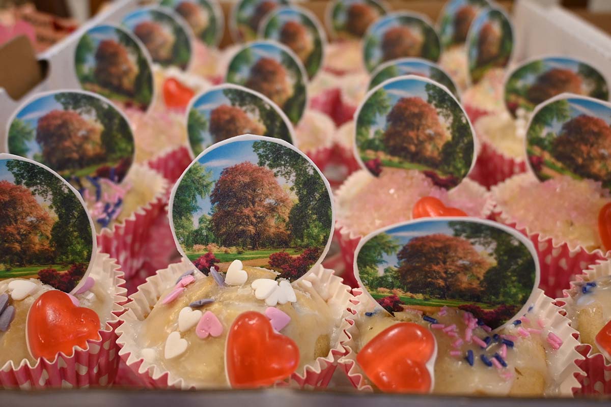 Park w Dalkowie z Europejskim Drzewem Roku 2025 - Serce Wzgórz Dalkowskich  