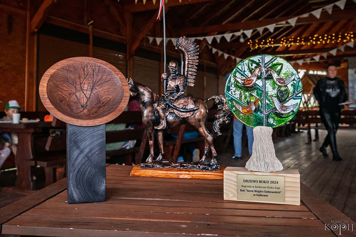 Park w Dalkowie z Europejskim Drzewem Roku 2025 - Serce Wzgórz Dalkowskich  