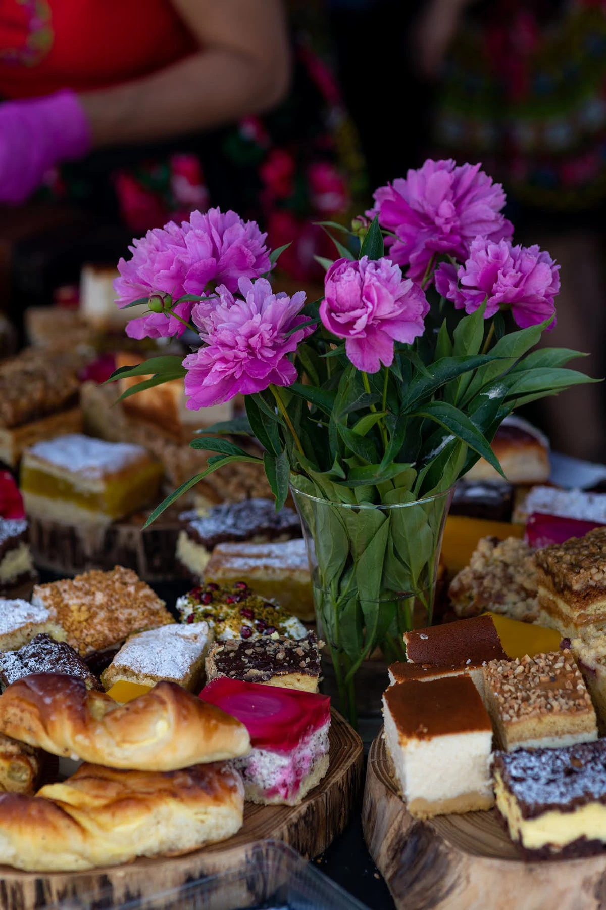 2024 II Festiwal Kwitnących Azalii i Rododendronów