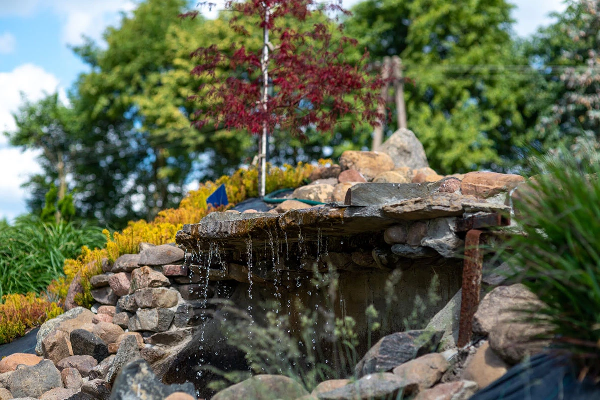 2024 II Festiwal Kwitnących Azalii i Rododendronów