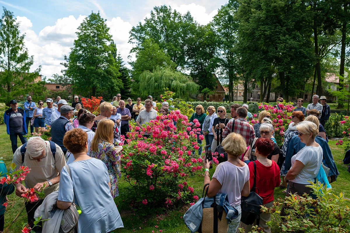 2024 II Festiwal Kwitnących Azalii i Rododendronów