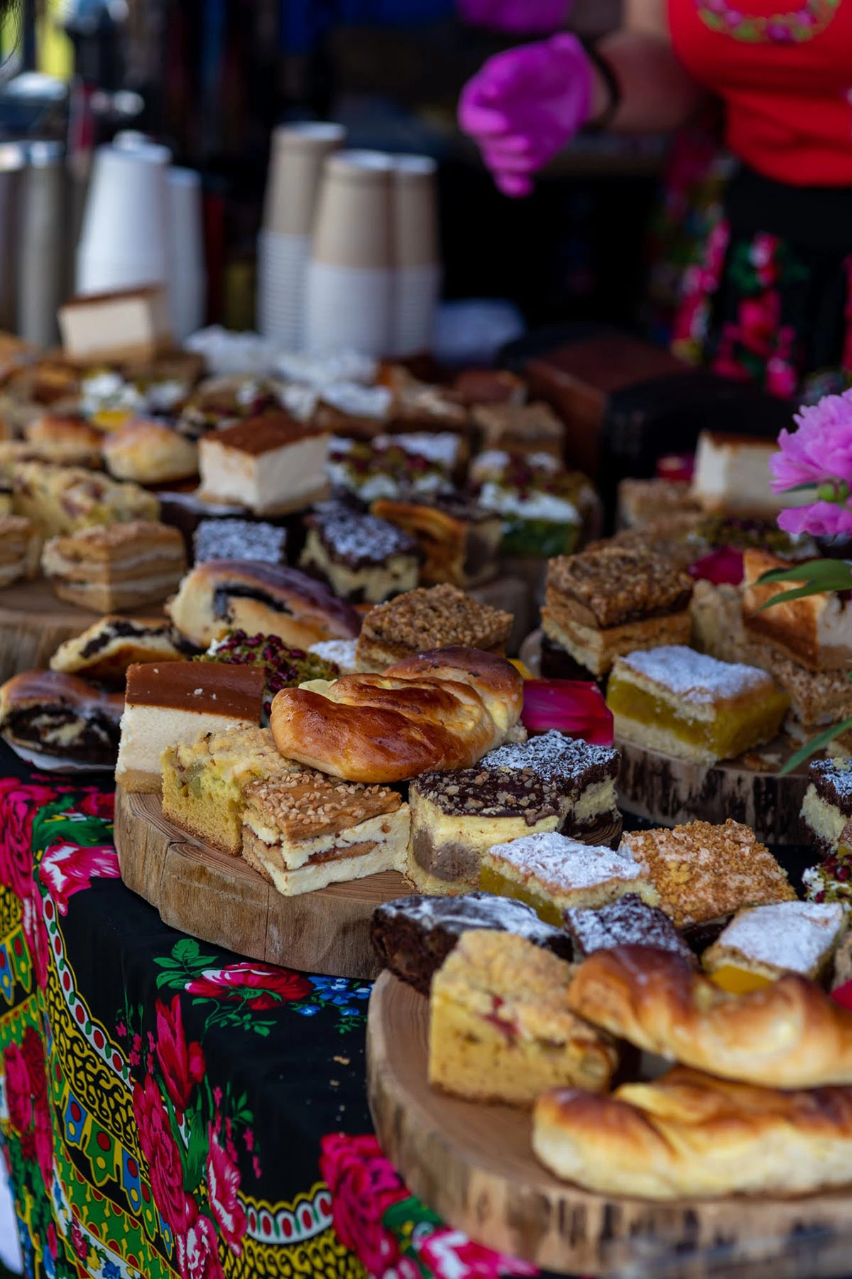 2024 II Festiwal Kwitnących Azalii i Rododendronów