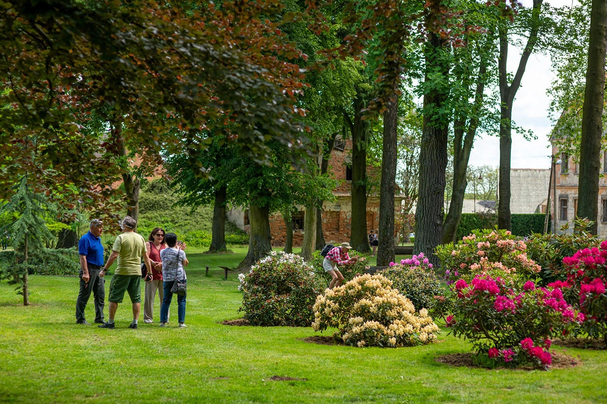 2024 II Festiwal Kwitnących Azalii i Rododendronów