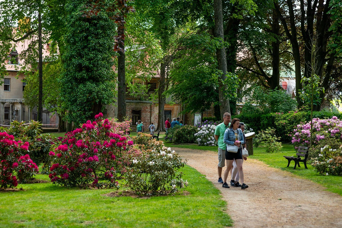 2024 II Festiwal Kwitnących Azalii i Rododendronów