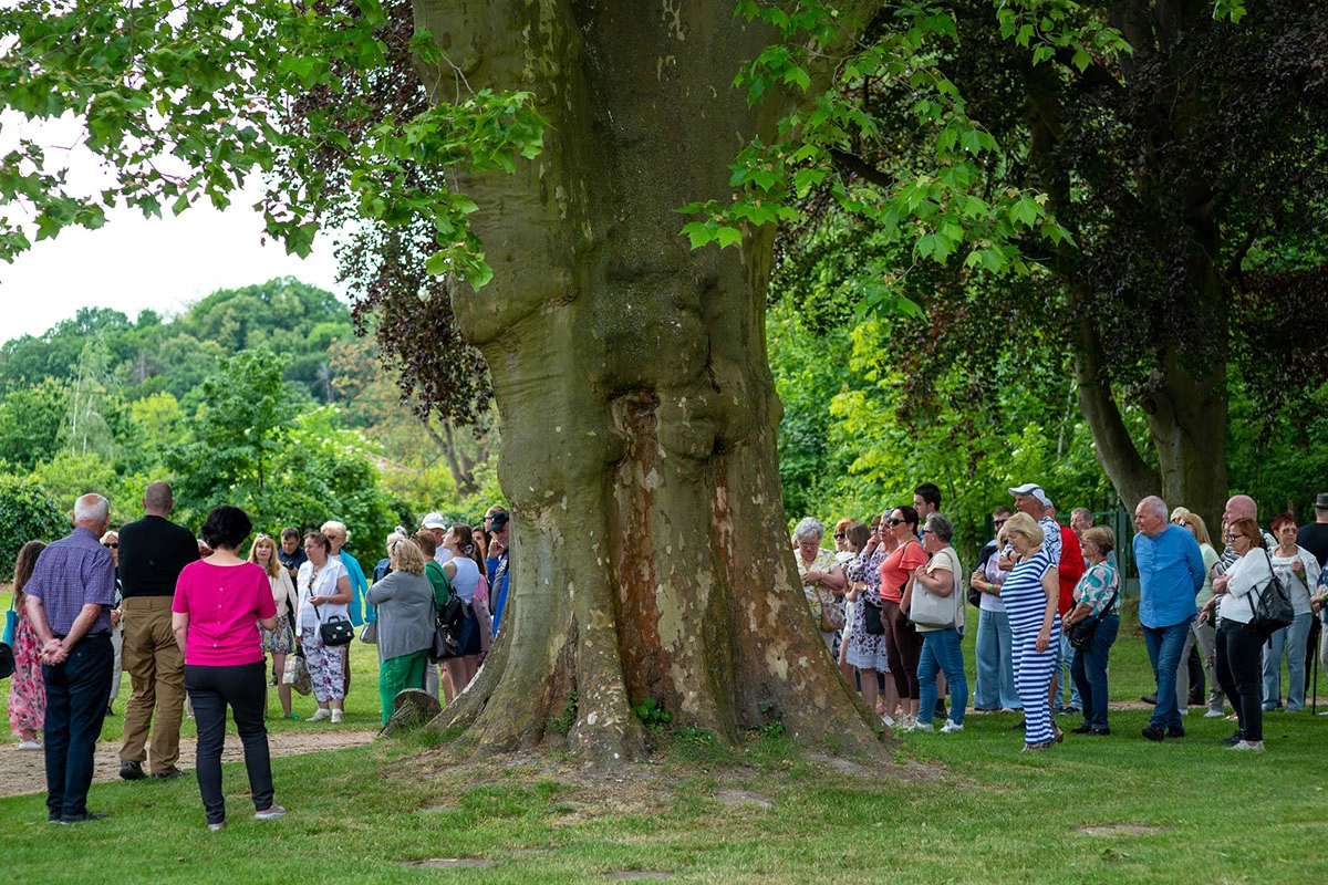 2024 II Festiwal Kwitnących Azalii i Rododendronów