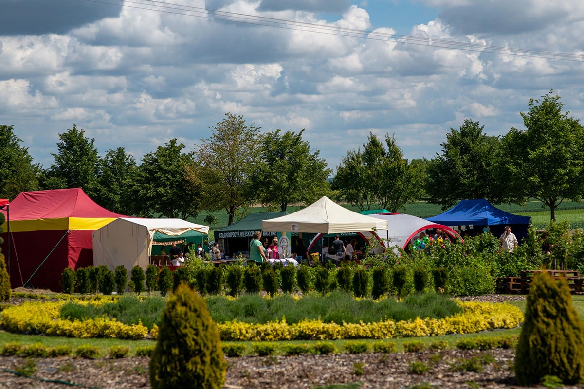 2024 II Festiwal Kwitnących Azalii i Rododendronów