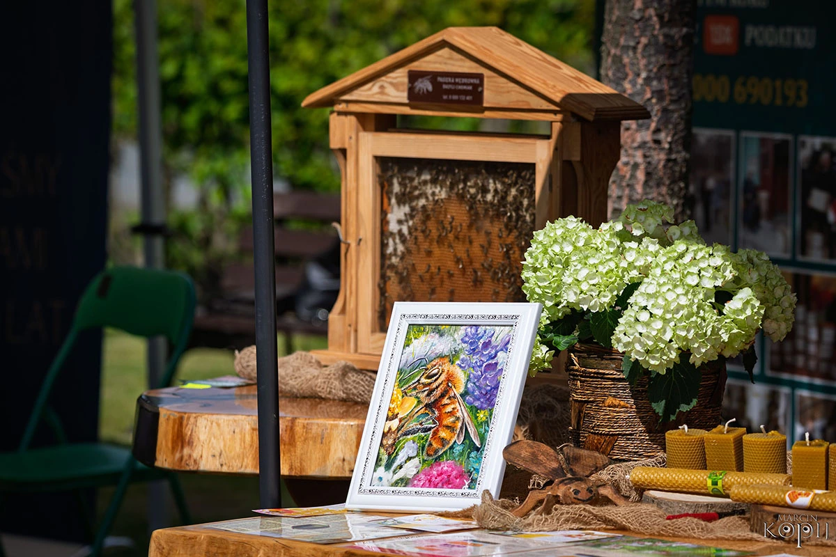 2025 III Festiwal Kwitnących Azalii i Rododendronów pod Europejskim Drzewem Roku 2025