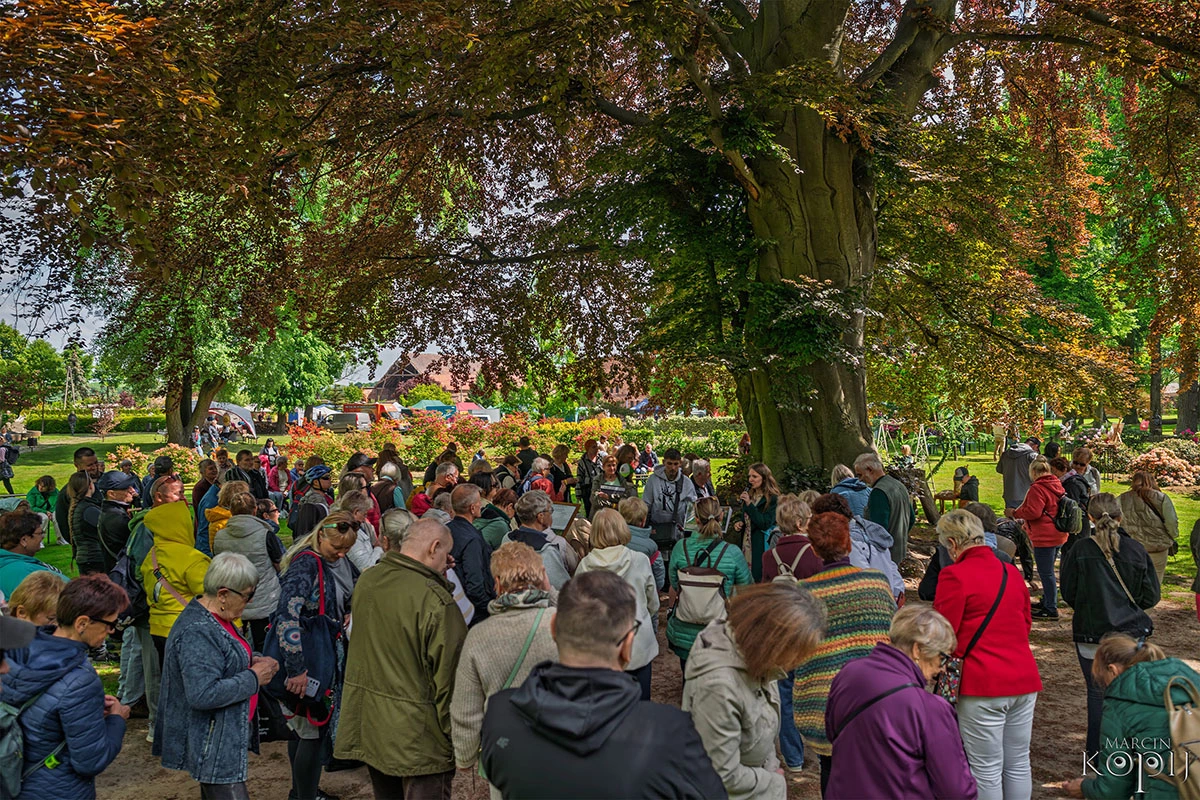 2025 III Festiwal Kwitnących Azalii i Rododendronów pod Europejskim Drzewem Roku 2025