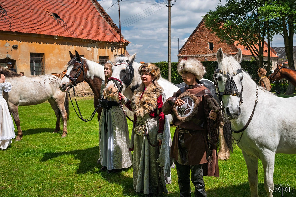 2025 III Festiwal Kwitnących Azalii i Rododendronów pod Europejskim Drzewem Roku 2025